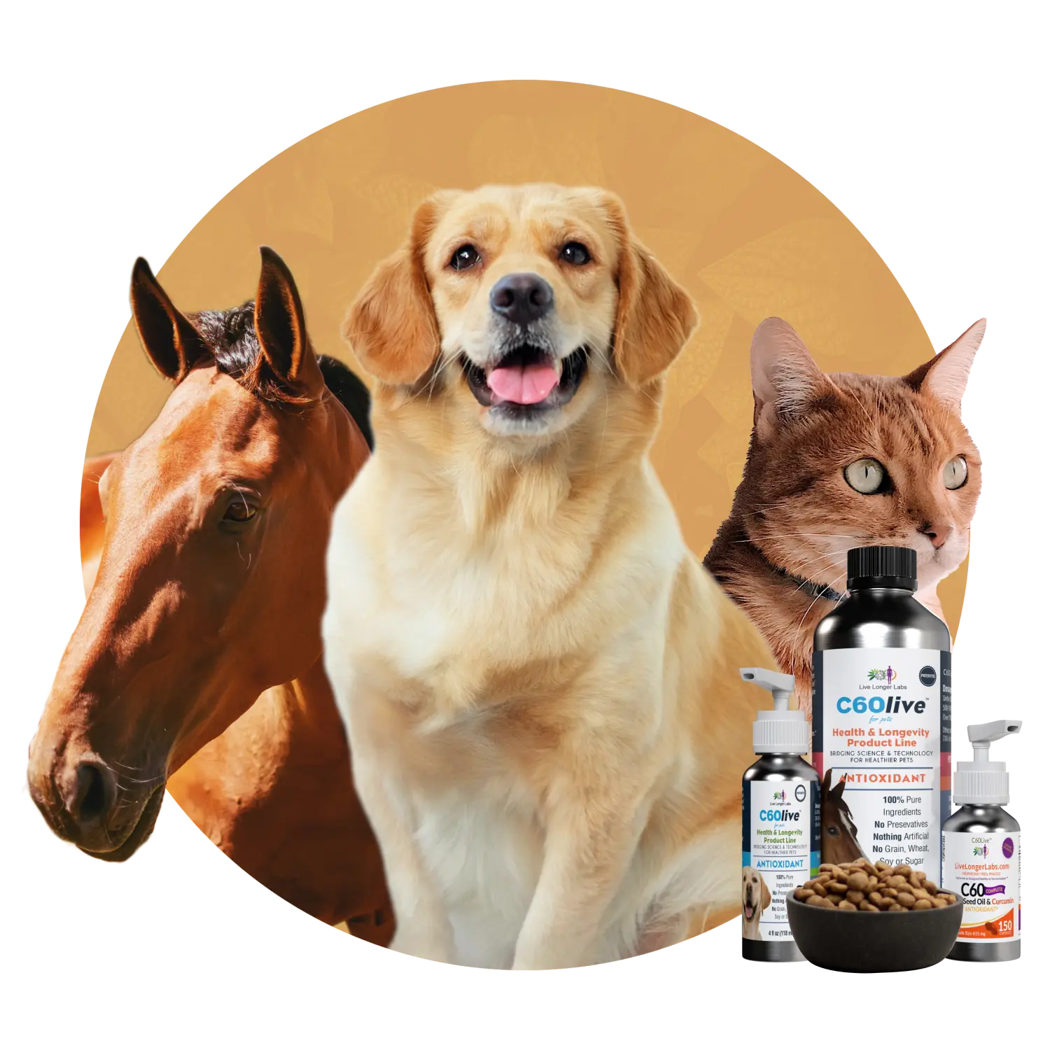 Three pets in a photo from left to right: a horse, dog, and a cat with their corresponding bottles of C60live for pets and a bowl of dog food in front of their image.
